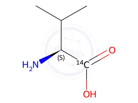 Chemical structure of L-VALINE, [1-14C]-