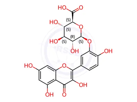 Chemical structure of Quercetin-3'-O-Glucuronide