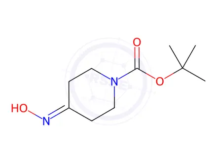 Chemical structure of tert-Butyl 4-(hydroxyimino)piperidine-1-carboxylate