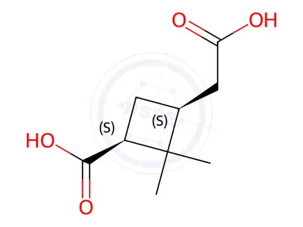 Chemical structure of Cis-Pinic Acid