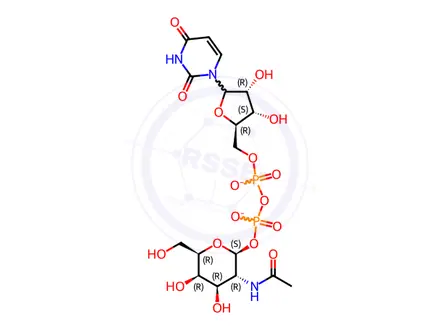 Chemical structure of UDP-ALPHA-D-N-ACETYLGALACTOSAMINE, DISODIUM SALT