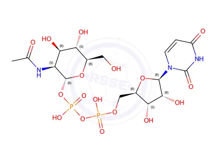 Chemical structure of UDP-N-Acetylmannosamine