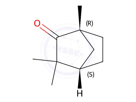 Chemical structure of Fenchone Impurity 2 (L-Fenchone)