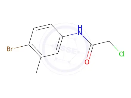 Chemical structure of N-(4-Bromo-3-methylphenyl)-2-chloroacetamide