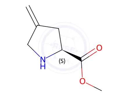 Chemical structure of Methyl 4-methylenepyrrolidine-2-carboxylate