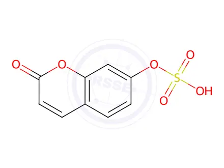 Chemical structure of 7-Hydroxy Coumarin Sulfate