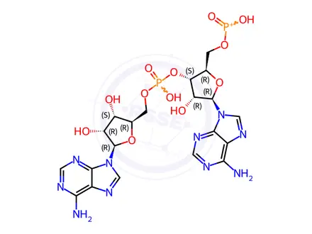 Chemical structure of Adenosine, adenylyl-(3'->5')-, mono(hydrogen phosphonate) (ester)