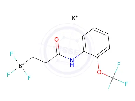 Chemical structure of Potassium trifluoro(3-oxo-3-((2-(trifluoromethoxy)phenyl)amino)propyl)borate