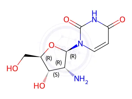 Chemical structure of 2'-Amino-2'-deoxyuridine