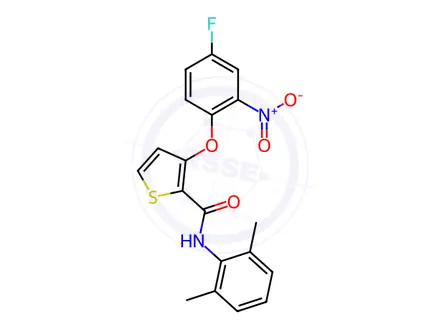 Chemical structure of N-(2,6-dimethylphenyl)-3-(4-fluoro-2-nitrophenoxy)thiophene-2-carboxamide