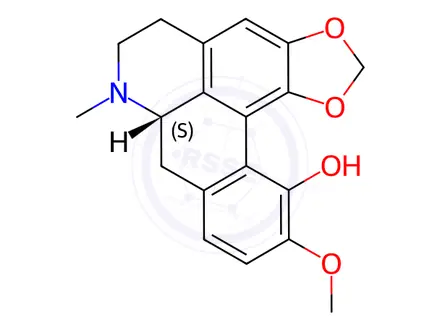 Chemical structure of (+)-Bulbocapnine