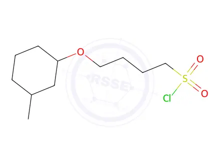 Chemical structure of 4-((3-Methylcyclohexyl)oxy)butane-1-sulfonyl chloride
