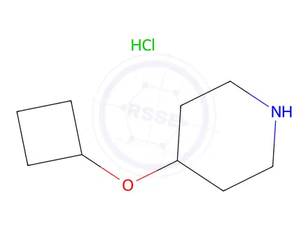 Chemical structure of 4-Cyclobutoxypiperidine hydrochloride