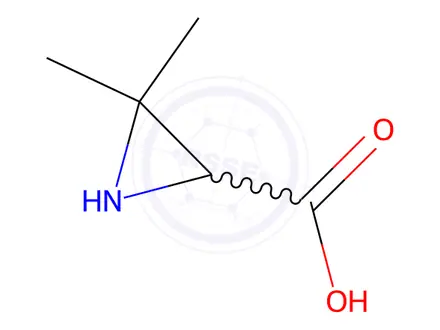 Chemical structure of 3,3-Dimethylaziridine-2-carboxylic acid