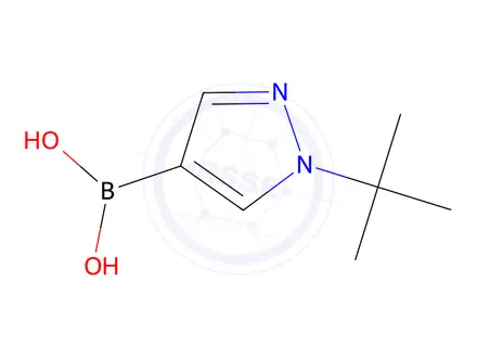 Chemical structure of 1-tert-butyl-1H-pyrazol-4-ylboronic acid