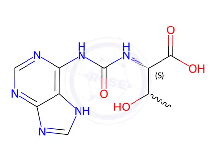 Chemical structure of N-(purin-6-ylcarbamoyl)threonine