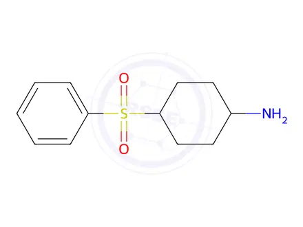 Chemical structure of 4-(Phenylsulfonyl)cyclohexan-1-amine
