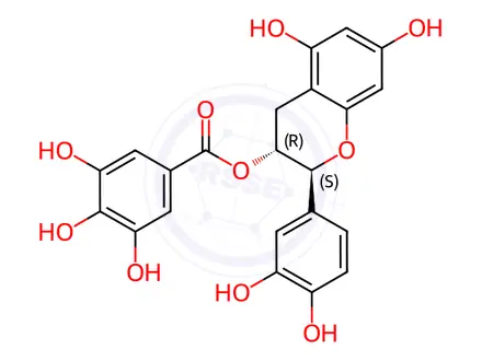 Chemical structure of (-)-Catechin gallate