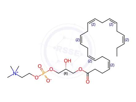 Chemical structure of 22:6 Lyso PC