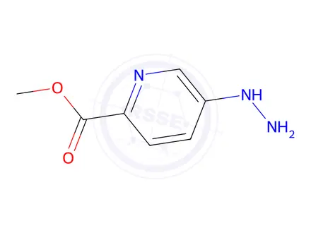 Chemical structure of methyl 5-hydrazinylpicolinate