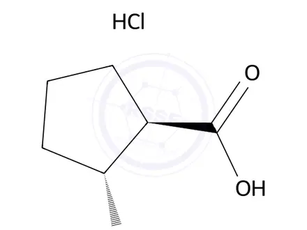 Chemical structure of (1R,2R)-2-Aminocyclopentane-1-carboxylic acid hydrochloride