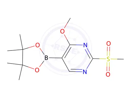 Chemical structure of 4-Methoxy-2-(methylsulfonyl)-5-(4,4,5,5-tetramethyl-1,3,2-dioxaborolan-2-yl)pyrimidine
