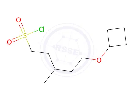 Chemical structure of 5-Cyclobutoxy-3-methylpentane-1-sulfonyl chloride