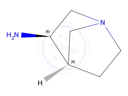 Chemical structure of (3R,4R)-1-azabicyclo[2.2.1]Heptan-3-amine