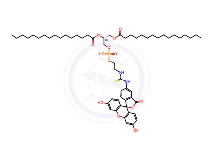 Chemical structure of Fluorescein-Dipalmitoylphosphatidylethanolamine