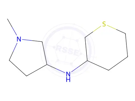 Chemical structure of 1-Methyl-N-(tetrahydro-2H-thiopyran-3-yl)pyrrolidin-3-amine