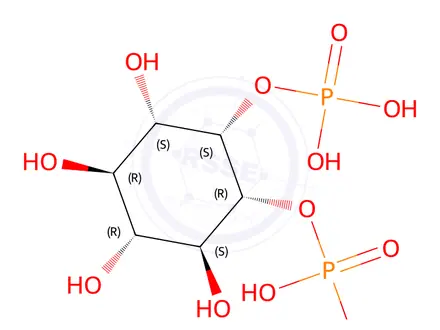Chemical structure of inositol 3,4-bisphosphate