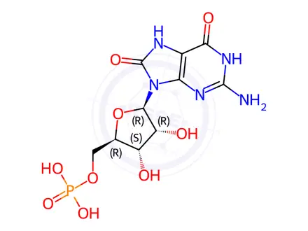 Chemical structure of 8-oxoguanosine 5'-phosphate