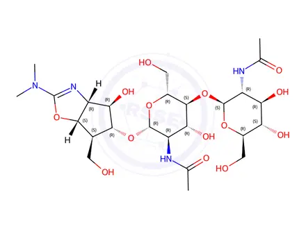 Chemical structure of N,N'-diacetylchitobiosyl allosamizoline