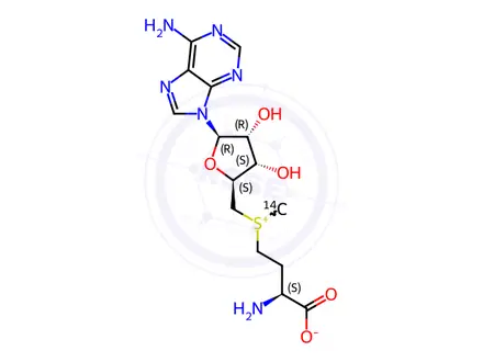 Chemical structure of S-ADENOSYL-L-METHIONINE, [METHYL-14C]