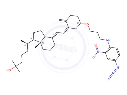 Chemical structure of 25-hydroxyvitamin D3 3'-(N-(4-azido-2-nitrophenyl)amino)propyl ether