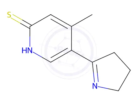 Chemical structure of 5-(3,4-Dihydro-2H-pyrrol-5-yl)-4-methylpyridine-2-thiol