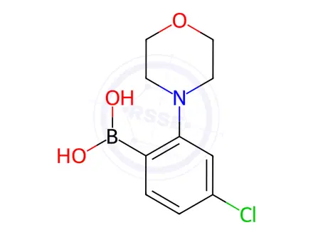 Chemical structure of 4-Chloro-2-morpholinophenylboronic acid