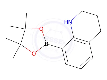 Chemical structure of 8-(4,4,5,5-Tetramethyl-1,3,2-dioxaborolan-2-yl)-1,2,3,4-tetrahydroquinoline