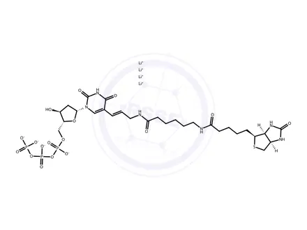 Chemical structure of Biotin-11-dUTP