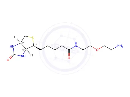 Chemical structure of N-(2-(2-Aminoethoxy)ethyl)-5-((3aS,4S,6aR)-2-oxohexahydro-1H-thieno[3,4-d]imidazol-4-yl)pentanamide
