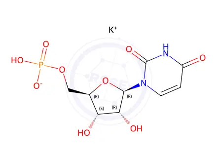 Chemical structure of Poly(5'-Uridylic acid)