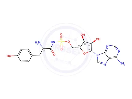 Chemical structure of ((2R,3S,4R,5R)-5-(6-Amino-9H-purin-9-yl)-3,4-dihydroxytetrahydrofuran-2-yl)methyl (L-tyrosyl)sulfamate