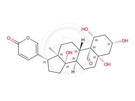 Chemical structure of 1β,3β,5,14-Tetrahydroxy-19-oxo-5β-bufa-20,22-dienolide