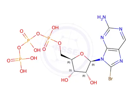 Chemical structure of ((2R,3S,4R,5R)-5-(6-Amino-8-bromo-9H-purin-9-yl)-3,4-dihydroxytetrahydrofuran-2-yl)methyl tetrahydrogen triphosphate