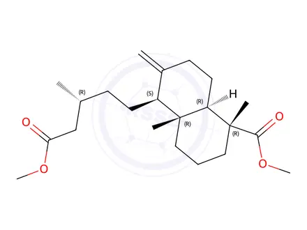 Chemical structure of (13R)-Labd-8(17)-ene-15,18-dioic acid dimethyl ester