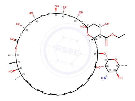 Chemical structure of Amphotericin B Ethyl Ester