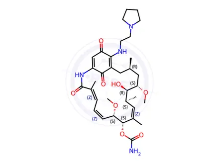 Chemical structure of 17-Demethoxy-17-[[2-(1-pyrrolidinyl)ethyl]amino]geldanamycin