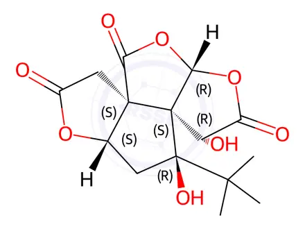 Chemical structure of Bilobalide