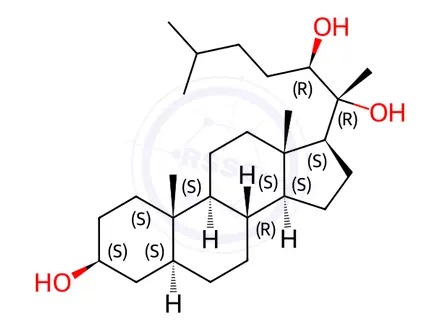 Chemical structure of 20(R),22(R)-Dihydroxy Cholesterol