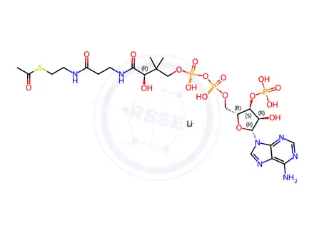 Chemical structure of Acetyl Coenzyme A Trilithium Salt Trihydrate